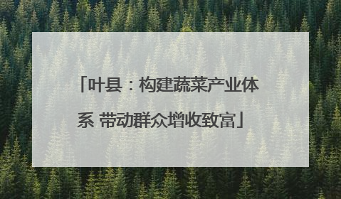 叶县：构建蔬菜产业体系 带动群众增收致富