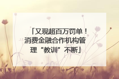 又现超百万罚单！消费金融合作机构管理“教训”不断