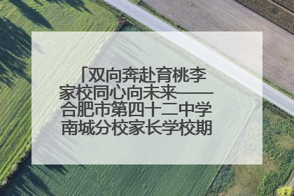 双向奔赴育桃李 家校同心向未来——合肥市第四十二中学南城分校家长学校期末总结会圆满召开