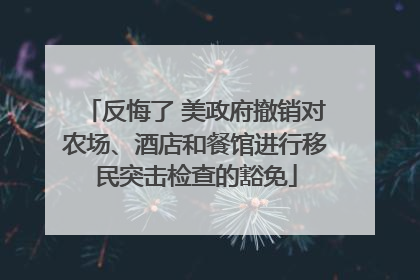 反悔了 美政府撤销对农场、酒店和餐馆进行移民突击检查的豁免