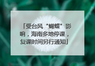 受台风“蝴蝶”影响，海南多地停课，复课时间另行通知