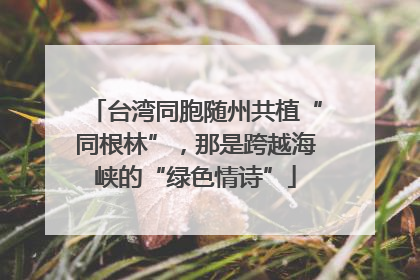 台湾同胞随州共植“同根林”，那是跨越海峡的“绿色情诗”