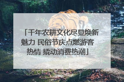 千年农耕文化尽显焕新魅力 民俗节庆点燃游客热情 撬动消费热潮