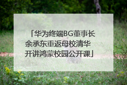 华为终端BG董事长余承东重返母校清华 开讲鸿蒙校园公开课