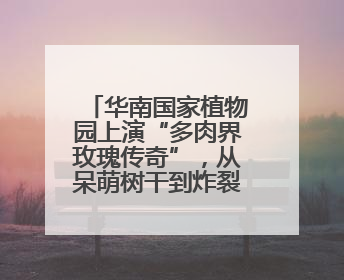 华南国家植物园上演“多肉界玫瑰传奇”，从呆萌树干到炸裂种子全是戏！