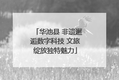 华池县 非遗邂逅数字科技 文旅绽放独特魅力