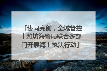 协同亮剑，全域管控丨潍坊海警局联合多部门开展海上执法行动