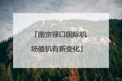 南京禄口国际机场值机有新变化