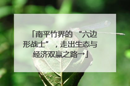 南平竹界的 “六边形战士”，走出生态与经济双赢之路→