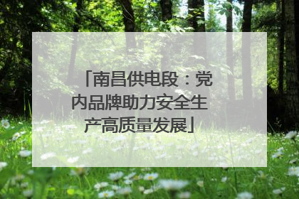 南昌供电段：党内品牌助力安全生产高质量发展