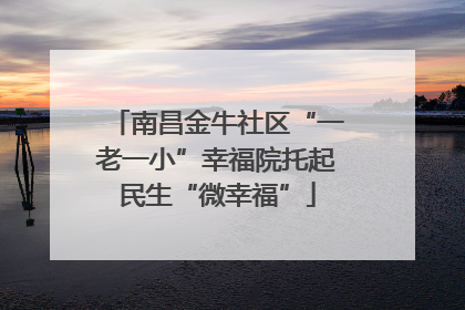 南昌金牛社区“一老一小”幸福院托起民生“微幸福”