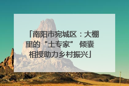 南阳市宛城区：大棚里的“土专家” 倾囊相授助力乡村振兴