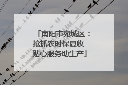 南阳市宛城区：抢抓农时保夏收 贴心服务助生产