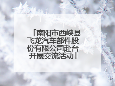 南阳市西峡县飞龙汽车部件股份有限公司赴台开展交流活动