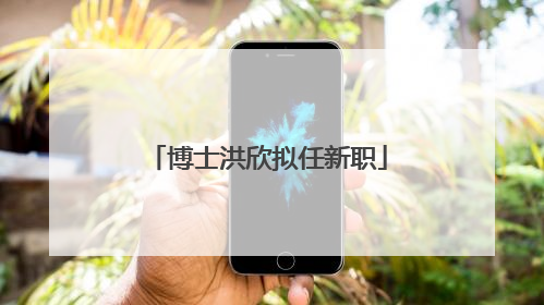博士洪欣拟任新职