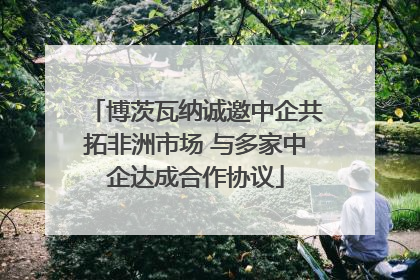 博茨瓦纳诚邀中企共拓非洲市场 与多家中企达成合作协议