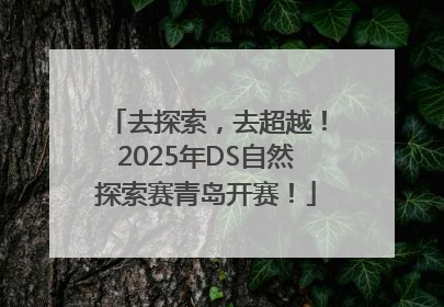 去探索，去超越！2025年DS自然探索赛青岛开赛！
