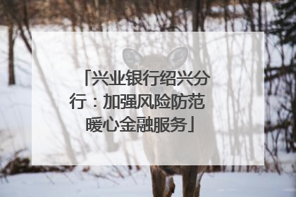 兴业银行绍兴分行：加强风险防范 暖心金融服务