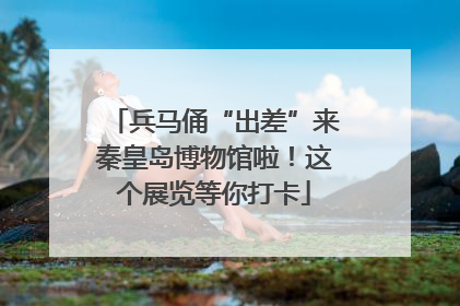 兵马俑“出差”来秦皇岛博物馆啦！这个展览等你打卡