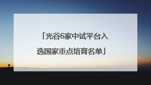 光谷6家中试平台入选国家重点培育名单