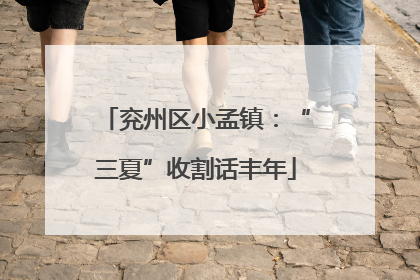 兖州区小孟镇：“三夏”收割话丰年