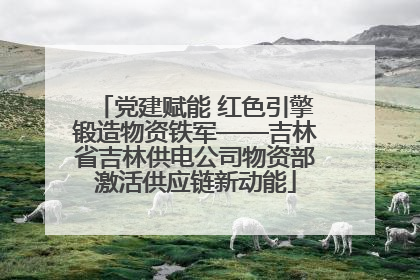 党建赋能 红色引擎锻造物资铁军——吉林省吉林供电公司物资部激活供应链新动能