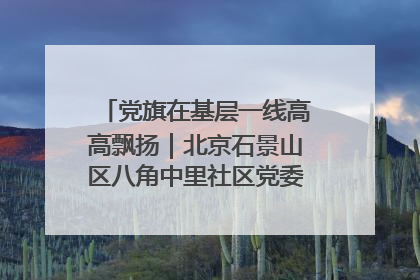 党旗在基层一线高高飘扬｜北京石景山区八角中里社区党委：用脚步丈量民生