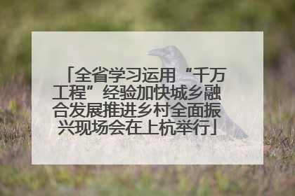 全省学习运用“千万工程”经验加快城乡融合发展推进乡村全面振兴现场会在上杭举行