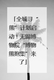 全城寻“熊”计划启动！无锡博物院“博物熊抱集”来了