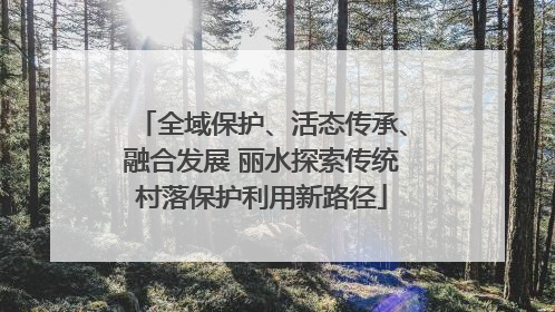 全域保护、活态传承、融合发展 丽水探索传统村落保护利用新路径