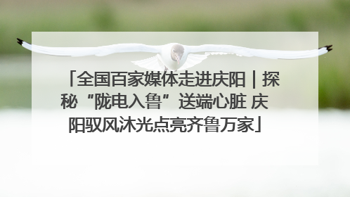 全国百家媒体走进庆阳｜探秘“陇电入鲁”送端心脏 庆阳驭风沐光点亮齐鲁万家