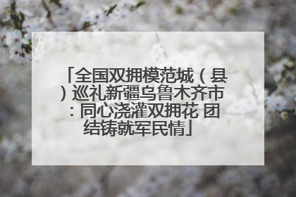 全国双拥模范城（县）巡礼新疆乌鲁木齐市：同心浇灌双拥花 团结铸就军民情