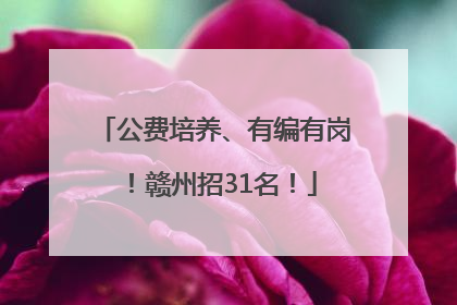公费培养、有编有岗！赣州招31名！