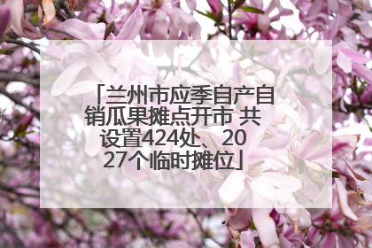 兰州市应季自产自销瓜果摊点开市 共设置424处、2027个临时摊位