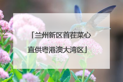兰州新区首茬菜心直供粤港澳大湾区