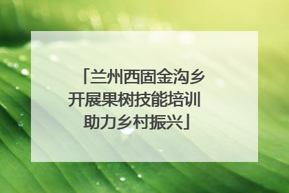兰州西固金沟乡开展果树技能培训 助力乡村振兴
