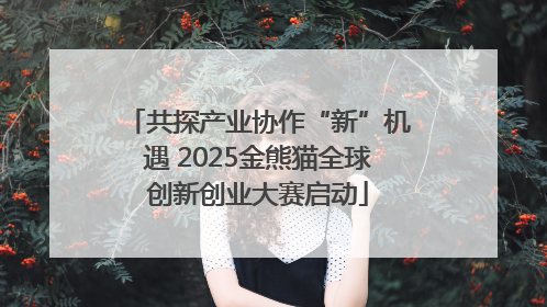 共探产业协作“新”机遇 2025金熊猫全球创新创业大赛启动