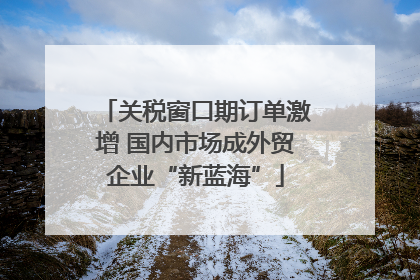 关税窗口期订单激增 国内市场成外贸企业“新蓝海”