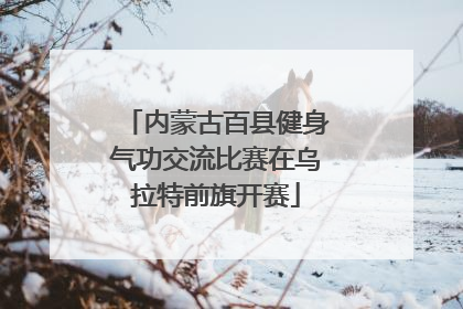 内蒙古百县健身气功交流比赛在乌拉特前旗开赛