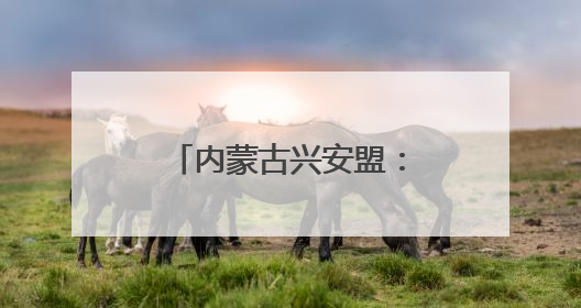内蒙古兴安盟：“阳光银行”点亮乡村振兴路
