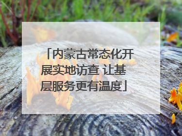 内蒙古常态化开展实地访查 让基层服务更有温度