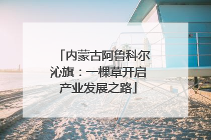 内蒙古阿鲁科尔沁旗：一棵草开启产业发展之路