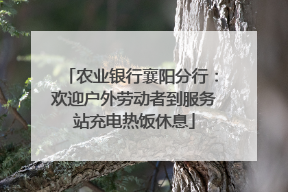 农业银行襄阳分行：欢迎户外劳动者到服务站充电热饭休息