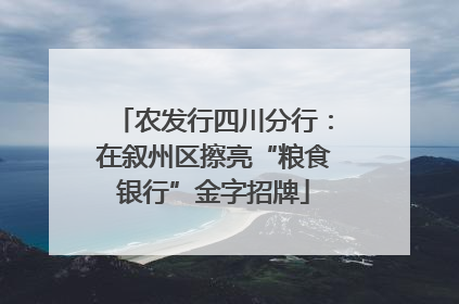 农发行四川分行：在叙州区擦亮“粮食银行”金字招牌