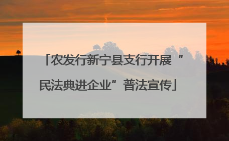 农发行新宁县支行开展“民法典进企业”普法宣传