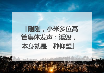 刚刚，小米多位高管集体发声：诋毁，本身就是一种仰望