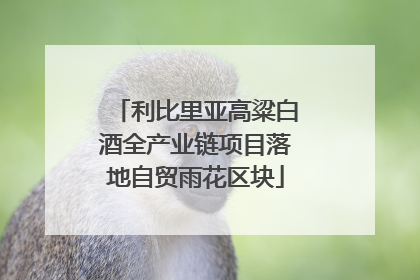 利比里亚高粱白酒全产业链项目落地自贸雨花区块