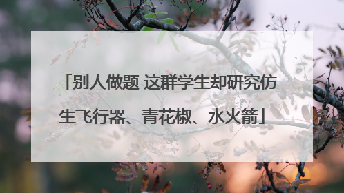 别人做题 这群学生却研究仿生飞行器、青花椒、水火箭