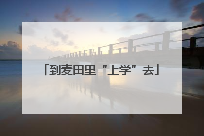 到麦田里“上学”去