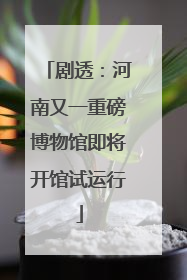 剧透：河南又一重磅博物馆即将开馆试运行